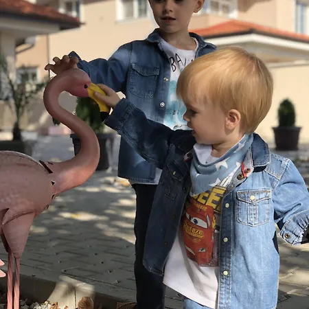 Hotel Flamingo Plovdiv