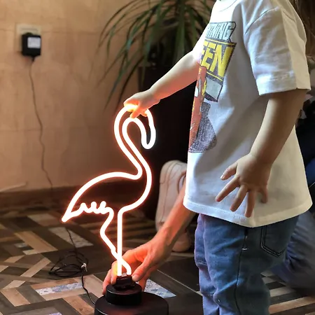 Hotel Flamingo 3*