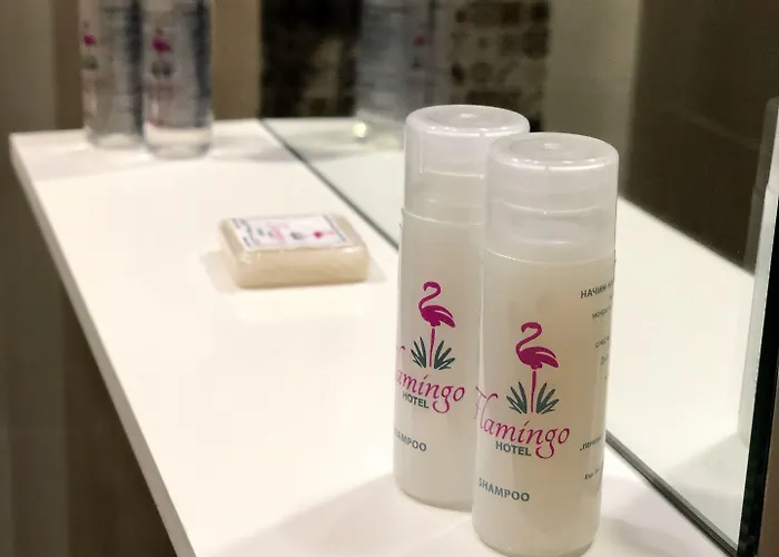 Flamingo 3*