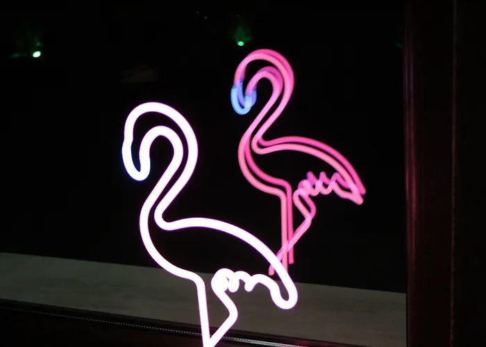 Flamingo Готель 3*