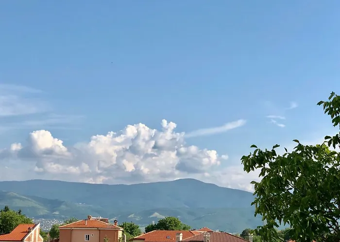 Готель Flamingo