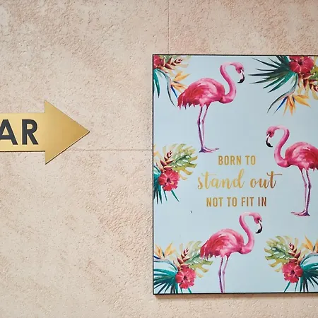 Flamingo 3*