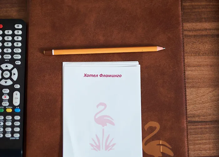 Flamingo 酒店 普罗夫迪夫