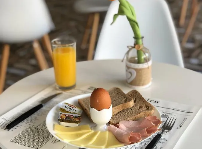 Flamingo 普罗夫迪夫