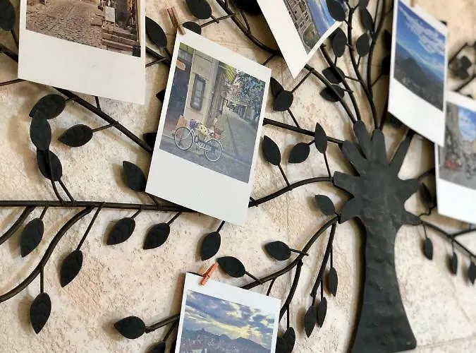 Flamingo 普罗夫迪夫